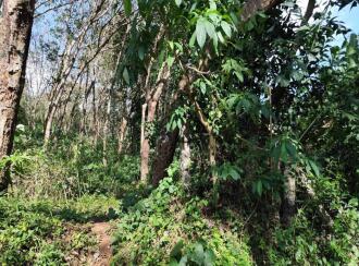 Residential Land for Sale in Kollam, Kottarakkara, Valakom, Ambalakara–Andoor Road