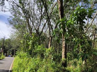 Residential Land for Sale in Kollam, Kottarakkara, Valakom, Ambalakara–Andoor Road