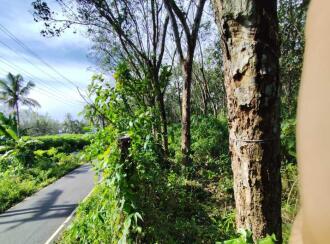 Residential Land for Sale in Kollam, Kottarakkara, Valakom, Ambalakara–Andoor Road