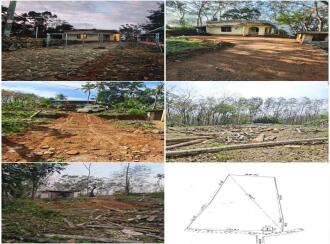 Residential Land for Sale in Pathanamthitta, Konni, Vellappara, Next to Mar Gregorious Kurushumud, Kenkirethu House, Opposite to Vellappara PO road