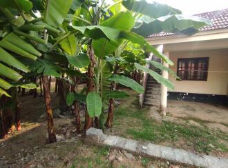 Residential Land for Sale in Ernakulam, Aluva, Muttom , Jawahar Nagar