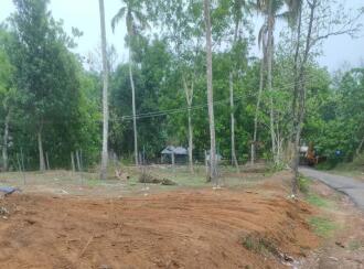 വാസയോഗ്യമായ ഭൂമി വില്പനയ്ക്ക് Kollam, Anchal, Kottukkal, Panakkal Parabhrama Temple