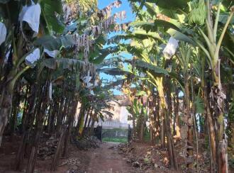 Agricultural Land for Sale in Thrissur, Amballoor, Kallur, Adjacent to St. Raphael's Church