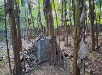 Agricultural Land for Sale in Thrissur, Amballoor, Kallur, Adjacent to St. Raphael's Church