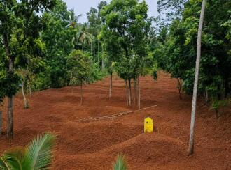 Residential Land for SaleTrivandrum, Kattakkada, Kattakkada