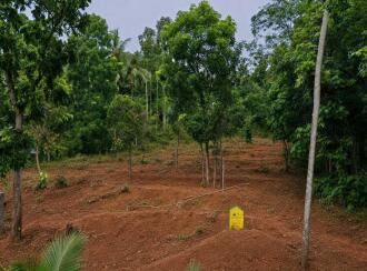 Residential Land for Sale in Trivandrum, Kattakkada, Kattakkada, Opposit petrol bunk