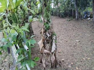 Residential Land for Sale in Kollam, Kottarakkara, Neduvathoor
