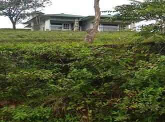Commercial Land for Sale in Idukki, Vagamon, Vagamon, chottupara