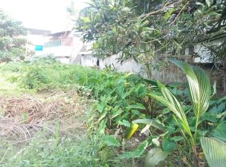 Residential Land for Sale in Ernakulam, Ernakulam town, Vaduthala, Chittoor Road