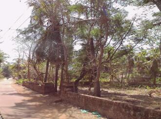 Residential Land for SaleKasargod, Cheruvathur, Mundakkandam