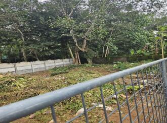 Residential Land for SaleErnakulam, Chottanikkara, Thiruvaniyoor