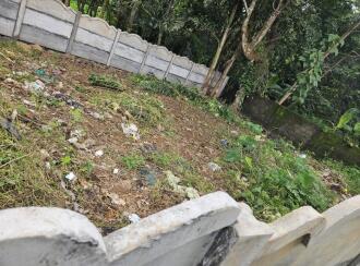Residential Land for Sale in Ernakulam, Chottanikkara, Thiruvaniyoor, Vennikkulam