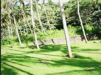 Residential Land for Sale in Malappuram, Perinthalmanna, Perinthalmanna, malapuram town hall road