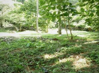 Residential Land for Sale in Malappuram, Perinthalmanna, Perinthalmanna, malapuram town hall road