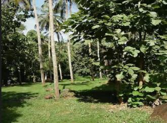 Residential Land for Sale in Malappuram, Perinthalmanna, Perinthalmanna, malapuram town hall road