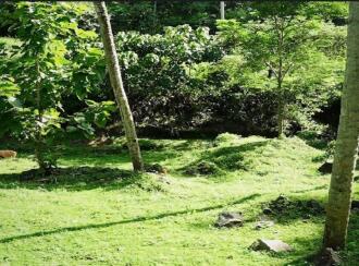 Residential Land for Sale in Malappuram, Perinthalmanna, Perinthalmanna, malapuram town hall road