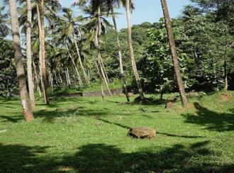 Residential Land for Sale in Malappuram, Perinthalmanna, Perinthalmanna, malapuram town hall road