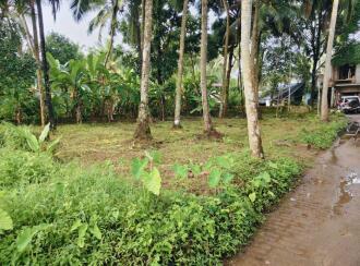 Residential Land for Sale in Kozhikode, Quilandy, Quilandy