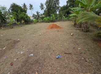 Commercial Land for Lease in Palakkad, Palakkad, Palakkad town, Manali Junction