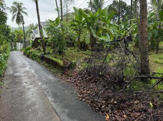 Residential Land for SaleKannur, Thottada, Thottada