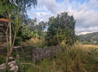 Residential Land for Sale in Trivandrum, Nedumangad, Karakulam