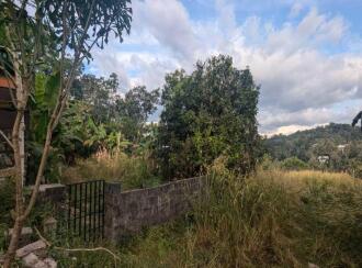 Residential Land for Sale in Trivandrum, Nedumangad, Karakulam
