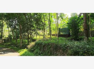 വാസയോഗ്യമായ ഭൂമി വില്പനയ്ക്ക് കോട്ടയം, Kanjirapally, Koovappally, panachepally