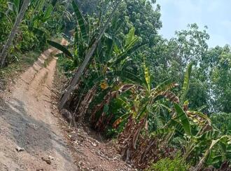 Residential Land for Sale in Kottayam, Kanjirapally, Manimala, near karikkattoor