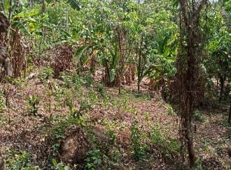 Residential Land for Sale in Kottayam, Kanjirapally, Manimala, near karikkattoor