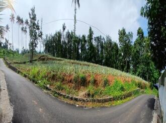 Residential Land for Rent in Ernakulam, Muvattupuzha, Muvattupuzha town, near kabani hotel