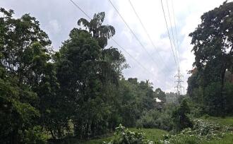 Residential Land for Sale in Palakkad, Ottappalam, Ottappalam, Ottapalam-Mayilumpuram Road