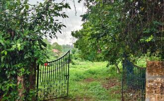 Residential Land for Sale in Palakkad, Ottappalam, Ottappalam, Ottapalam-Mayilumpuram Road
