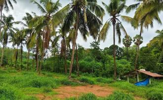 Residential Land for Sale in Palakkad, Ottappalam, Ottappalam, Ottapalam-Mayilumpuram Road