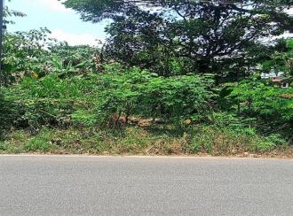 Residential Land for Sale in Pathanamthitta, Pathanamthitta, Elanthoor, near Ganapathi temple and NSS karayogam Elanthoor