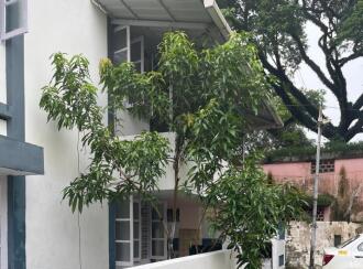 Residential House Villa for Sale in Ernakulam, Ernakulam town, Panampilly nagar, HB-19