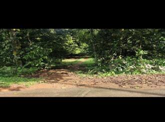 Residential Land for Sale in Thrissur, Koratty, Koratty, palamury road konoor