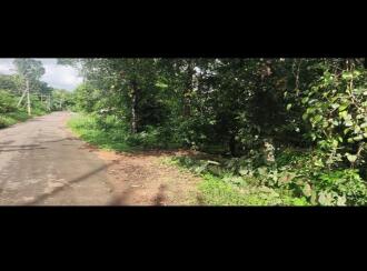 Residential Land for Sale in Thrissur, Koratty, Koratty, palamury road konoor
