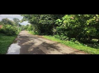 Residential Land for Sale in Thrissur, Koratty, Koratty, palamury road konoor