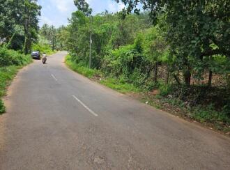 Agricultural Land for Sale in Kannur, Kuthuparamba, Chittariparamba, Kannavam to Thodikulam road