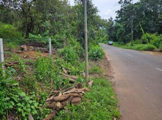 Agricultural Land for Sale in Kannur, Kuthuparamba, Chittariparamba, Kannavam to Thodikulam road