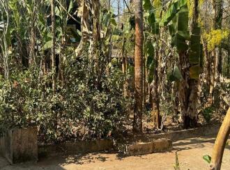 Residential Land for Sale in Malappuram, Nilambur, Nilambur, Kovalathumuri