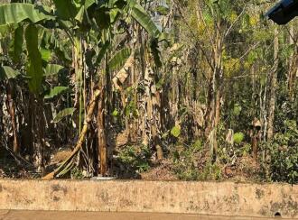 Residential Land for Sale in Malappuram, Nilambur, Nilambur, Kovalathumuri