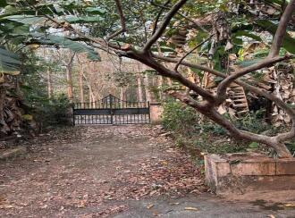 Residential Land for Sale in Malappuram, Nilambur, Nilambur, Kovalathumuri