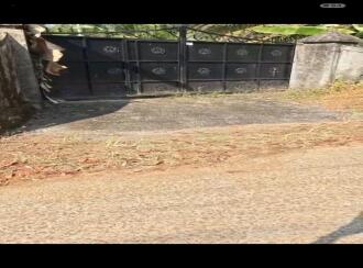 Residential Land for Sale in Pathanamthitta, Pandalam, Thumpamon, Mampilaly