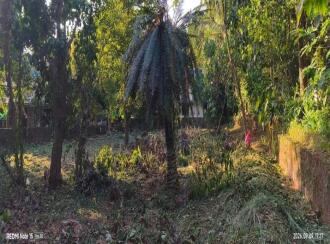 Residential Land for Sale in Malappuram, Valanchery, Valanchery, Kavumpuram
