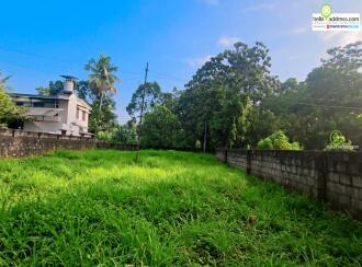 Residential Land for Sale in Pathanamthitta, Thiruvalla, Pullad, Pullad Kavala