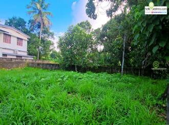 Residential Land for Sale in Pathanamthitta, Thiruvalla, Pullad, Pullad Kavala