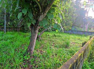 Residential Land for Sale in Pathanamthitta, Thiruvalla, Pullad, Pullad Kavala