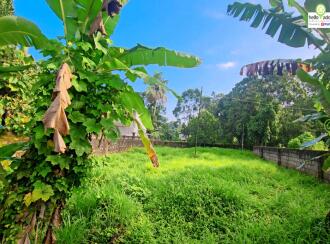 Residential Land for Sale in Pathanamthitta, Thiruvalla, Pullad, Pullad Kavala