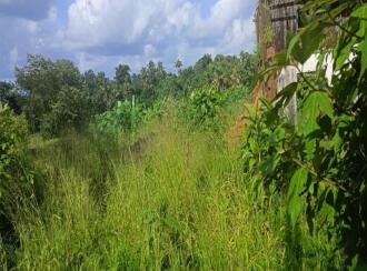 Commercial Land for Sale in Ernakulam, Angamaly, Angamaly